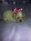 Click to view classifieds CHNFXEZP