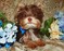 Click to view classifieds DVQTKNFH