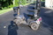Click to view classifieds WUMCLLGR