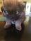 Click to view classifieds SOBVULTN