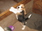 Click to view classifieds JKOYJYFP