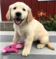Click to view classifieds SDYWQTEE