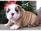 Click to view classifieds MVUFQTFS