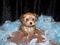 Click to view classifieds QUYJVQEG