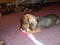 Click to view classifieds QSLWQZRA