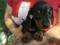 Click to view classifieds OCSXNEWY