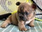 Click to view classifieds ZSKYSOHU