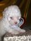 Click to view classifieds TCPSQJZS