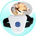 bark collar