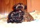 Click to view classifieds GDMLDEJW