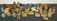 Click to view classifieds JXCSCXSD