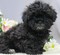 Click to view classifieds UVQMFFFB