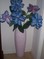Click to view classifieds XLRZDMHP