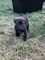 Click to view classifieds AQJWBDGG
