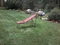 Click to view classifieds TMDLYOJP