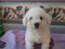Click to view classifieds YDAQRSXH
