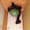 Click to view classifieds DPQHYVJD