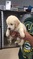 Click to view classifieds WCORTYWY