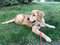 Click to view classifieds WYUEOOSZ