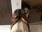Click to view classifieds GOJUQTBZ