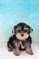 Click to view classifieds WYJPZGBY