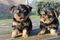 Click to view classifieds KAYPMQGM