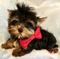Click to view classifieds DPFAVZUU