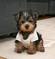 Click to view classifieds RCZNPFOD