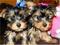 Click to view classifieds ARXHZJLV