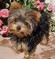 Click to view classifieds KNQPZWMD