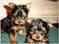 Click to view classifieds ULWCKRQU