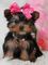 Click to view classifieds RCWCPPGF