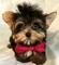 Click to view classifieds ABEMRTXJ