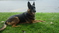 Click to view classifieds GHRPUGBL