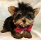 Click to view classifieds VWMWHYMY