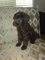 Click to view classifieds BFWVRYCR