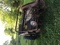 Click to view classifieds BHZOUXSZ