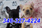 Click to view classifieds ERWVWNOP