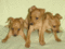 Click to view classifieds OWBEAEUT