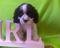 Click to view classifieds FFPSYNQG