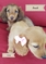 Click to view classifieds ONRNGFYA