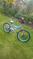 Click to view classifieds ZYLCWBWY