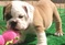 Click to view classifieds GXEUFRFZ