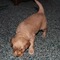 Click to view classifieds PWJLPTLK