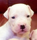 Click to view classifieds ZCCEZRJG