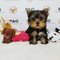 Click to view classifieds ZRESQYNS