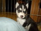 Click to view classifieds GEVPGEUT