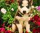 Click to view classifieds YEUKMMYL