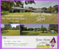 Click to view classifieds BOBQPJFY