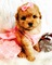 Click to view classifieds MZOTJRGQ